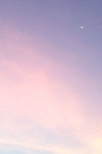 切尔西锋线上的璀璨新星：一颗被球迷誉为“进攻利器”的闪耀之星