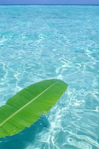 刺耳的警钟：热刺战术演练的短板，教练团队的“炼狱”挑战