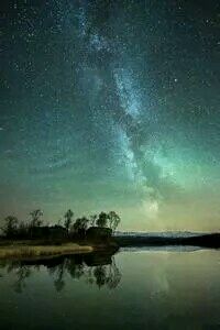 燃情赛场：勇气与激情的交响曲