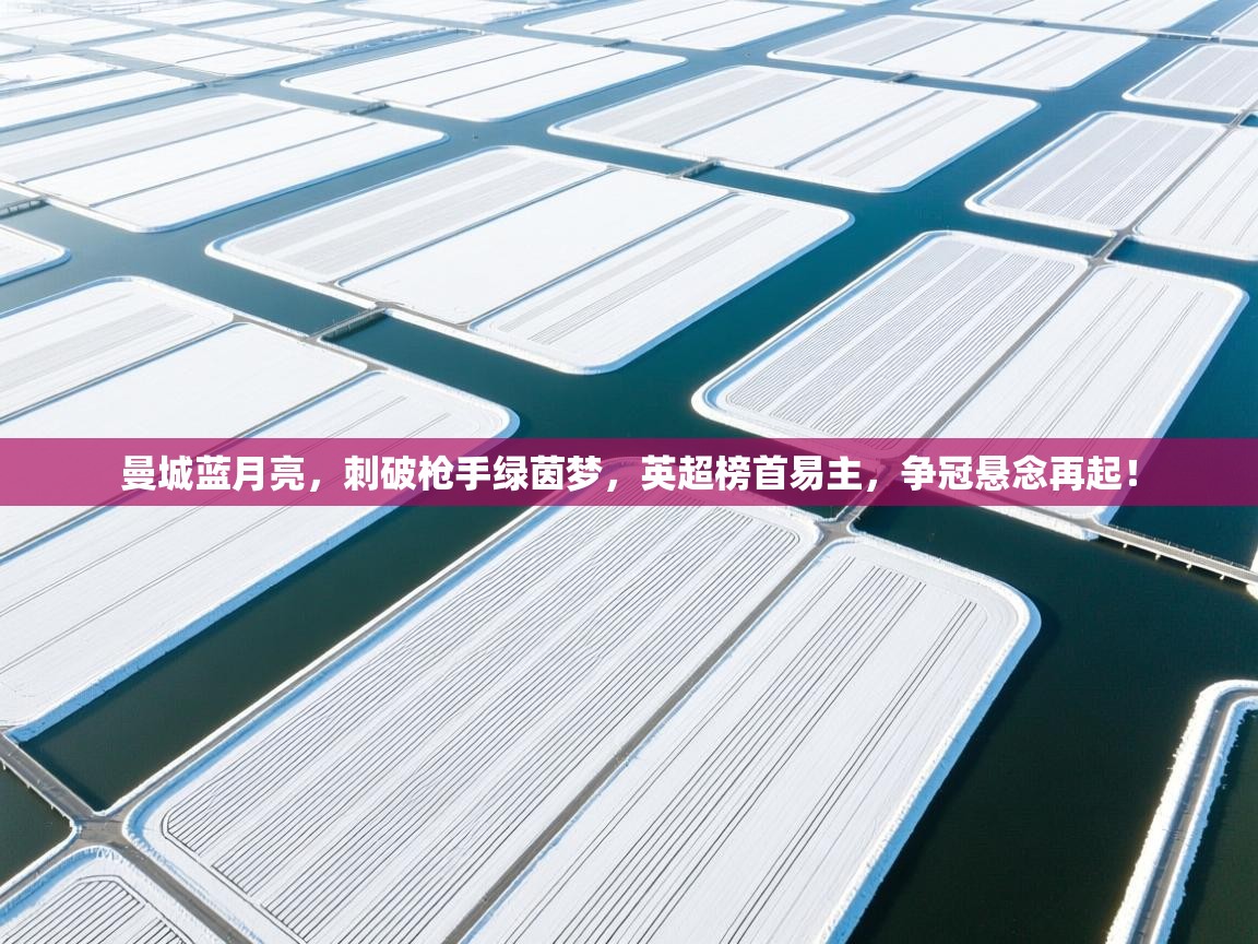 曼城蓝月亮，刺破枪手绿茵梦，英超榜首易主，争冠悬念再起！  第1张