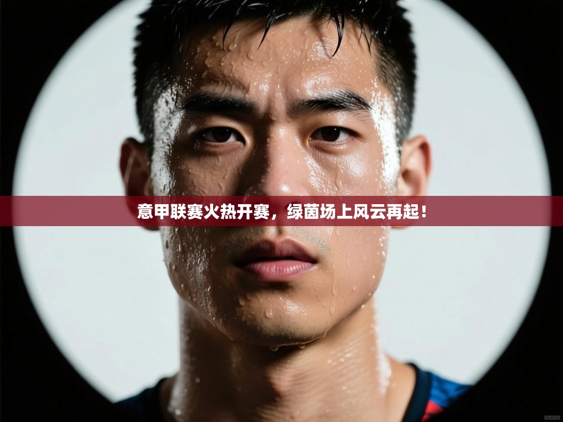 意甲联赛火热开赛，绿茵场上风云再起！  第2张