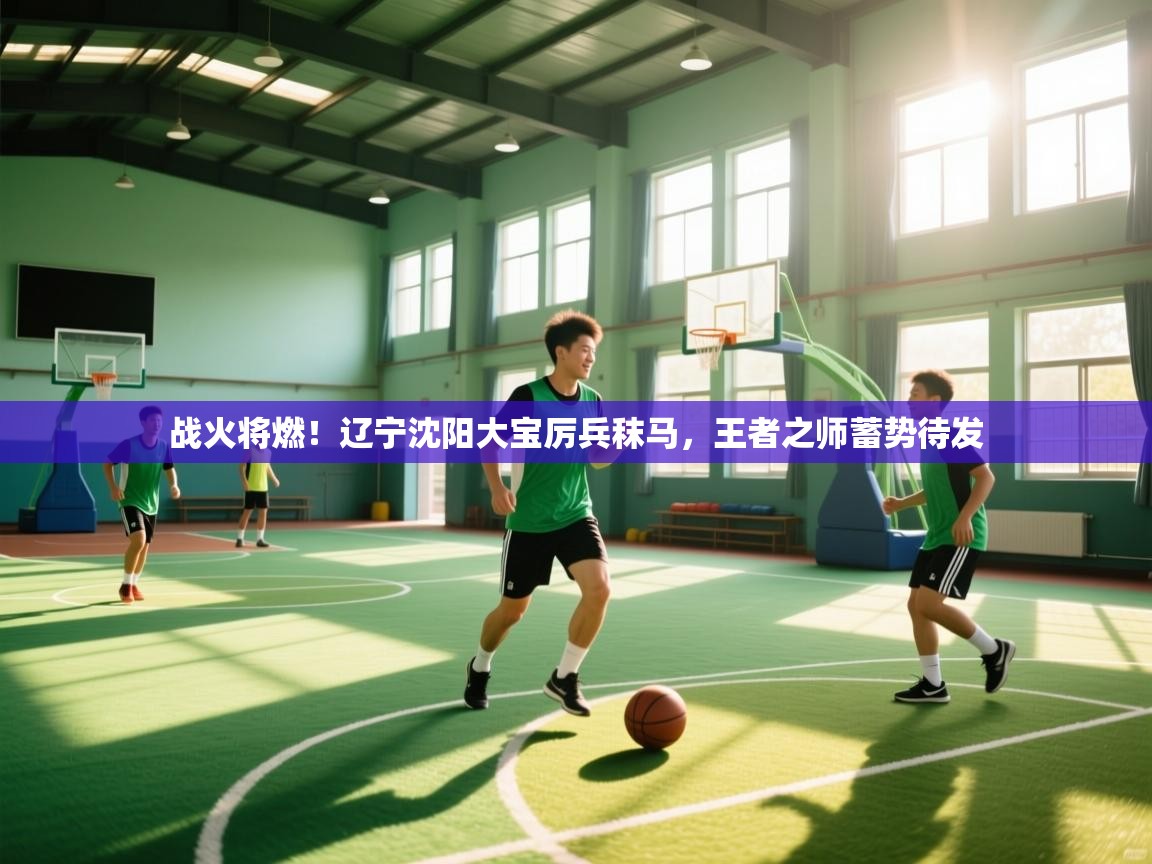 战火将燃!辽宁沈阳大宝厉兵秣马,王者之师蓄势待发 第1张